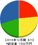 寺島塗装 貸借対照表 2010年12月期