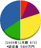 羽賀工業 貸借対照表 2009年12月期
