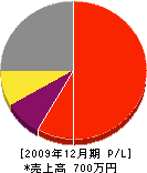 横山電気工社 損益計算書 2009年12月期