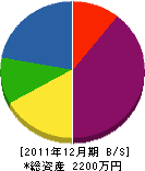 中辻設備 貸借対照表 2011年12月期