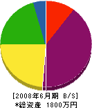 石井工業所 貸借対照表 2008年6月期