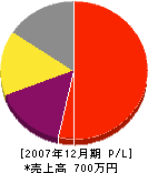 永島塗装工業 損益計算書 2007年12月期