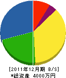 山本設備 貸借対照表 2011年12月期