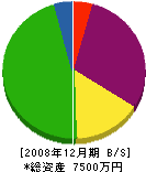 田中建設興業 貸借対照表 2008年12月期