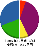 川井石材 貸借対照表 2007年12月期