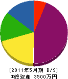 中嶋鉄工所 貸借対照表 2011年5月期