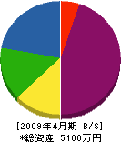 石峰電気商会 貸借対照表 2009年4月期