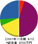 甲陽電気工事 貸借対照表 2007年11月期