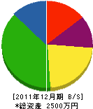 山信工務店 貸借対照表 2011年12月期