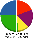 鈴木電業 貸借対照表 2009年12月期