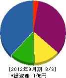 亀井電気工業 貸借対照表 2012年9月期