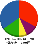 日宝工業 貸借対照表 2008年10月期