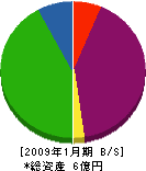 寿永商事 貸借対照表 2009年1月期