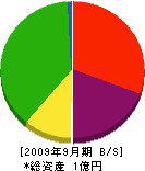 橋本工業 貸借対照表 2009年9月期