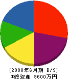 田中設備 貸借対照表 2008年6月期