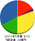 藤井電機 貸借対照表 2012年5月期