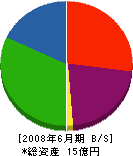 篠田屋 貸借対照表 2008年6月期