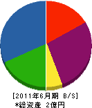 釜石電機製作所 貸借対照表 2011年6月期