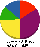 武井建設 貸借対照表 2008年10月期