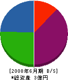 笹本工務店 貸借対照表 2008年6月期