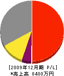 竹内電機 損益計算書 2009年12月期