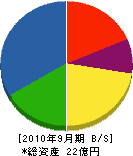 東興産業 貸借対照表 2010年9月期