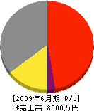 岡村興業 損益計算書 2009年6月期