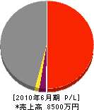 田中工務店 損益計算書 2010年6月期
