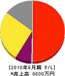 大阪道路産業 損益計算書 2010年6月期