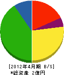 沖田工業 貸借対照表 2012年4月期