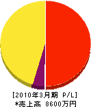 東日本環境保全工業 損益計算書 2010年3月期
