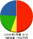 中田工業 貸借対照表 2008年6月期