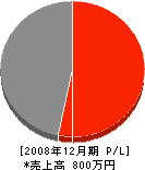 橋本組 損益計算書 2008年12月期