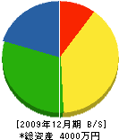 宗崎建設 貸借対照表 2009年12月期