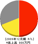 松岡電工 損益計算書 2009年12月期
