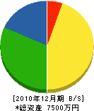 関建設 貸借対照表 2010年12月期 関建設 貸借対照表 2010年12月期