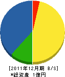 田中勝庭園 貸借対照表 2011年12月期
