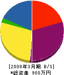 勝浦工業 貸借対照表 2008年3月期