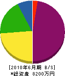 中塚建設 貸借対照表 2010年6月期