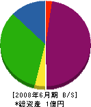 秋山組 貸借対照表 2008年6月期