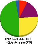 渡辺巧芸社 貸借対照表 2010年3月期