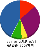 関戸組 貸借対照表 2011年12月期