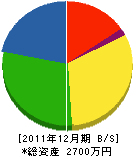 岩川電気 貸借対照表 2011年12月期