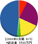 森田工業 貸借対照表 2008年6月期