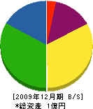 井川建設 貸借対照表 2009年12月期