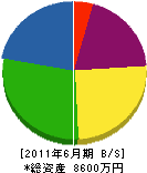 木須建設 貸借対照表 2011年6月期