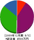 西澤重機 貸借対照表 2009年12月期
