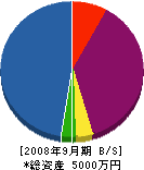 岸田建設 貸借対照表 2008年9月期