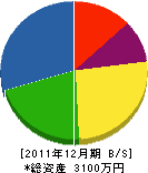 延寿寺電気商会 貸借対照表 2011年12月期