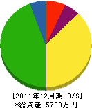 小林電機商会 貸借対照表 2011年12月期